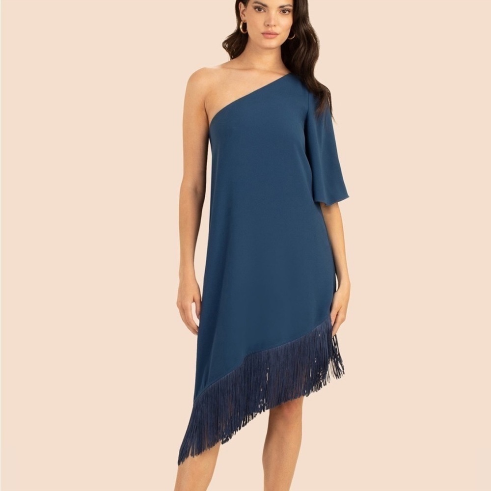 NWT, Trina Turk,Gull Dress,Stunning Asymmetrical Dress Embellished Fringe,Size S